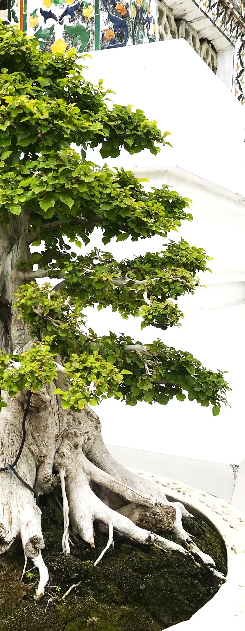 Découvrez des stratégies pour rendre les cours plus engageants, favoriser un apprentissage durable 