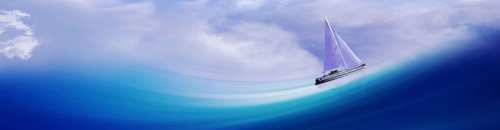 Ride The Wave