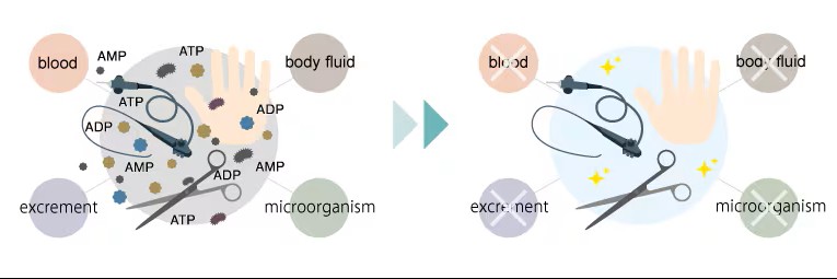 ¿Cómo funciona? Kikkoman Biochemifa monitorea de cerca el brote de coronavirus (COVID-19)