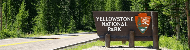 Yellowstone National Park, one of the best US National Parks for Summer 2025