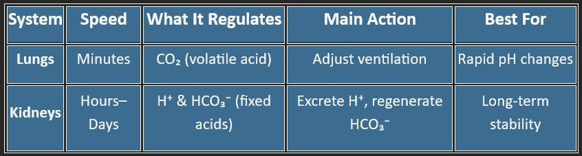 pH regulation