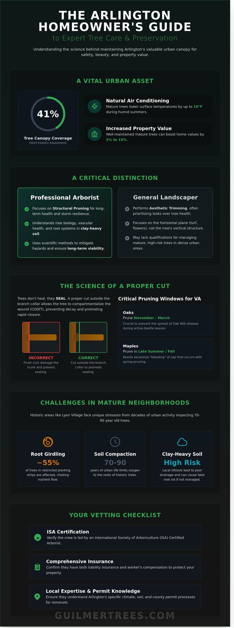Infographic on Arlington tree service with professional care and removal tips from the 2026 homeowner guide.