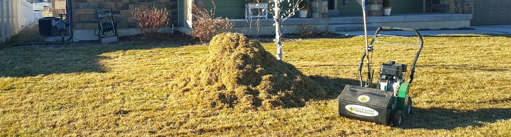 Thatch removal