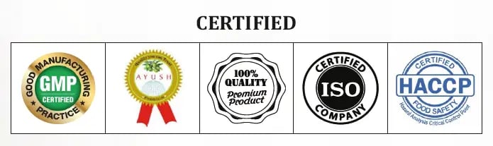 certification yupi global