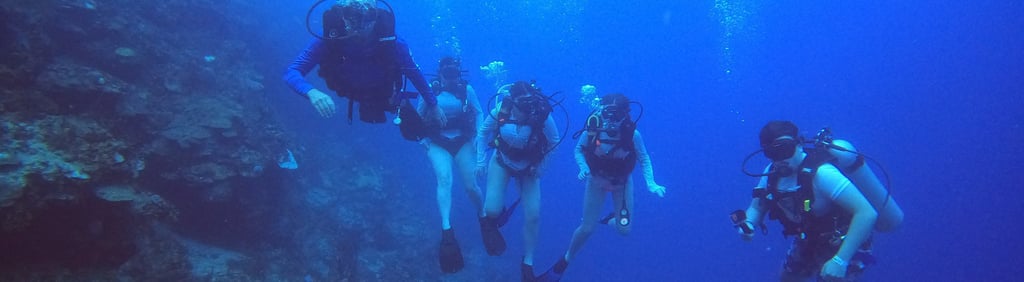 Buceo en El Pared en isla Catalina