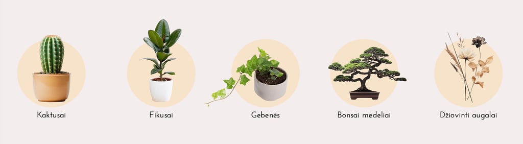 plants to avoid for feng shui bedrooms