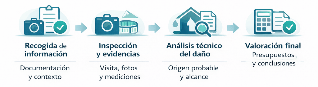 Infografía explicativa de la metodología seguida por nuestros peritos