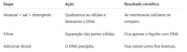 Table showing why and how the experiment taught works.