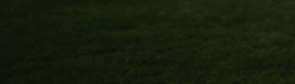 labai tamsios žalios spalvos fonas