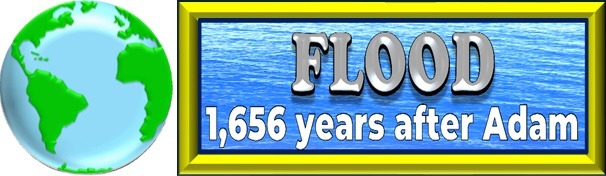 Globe picture plus flood happened 1,656 years after Adam designed by Debbie Dunn using PowerPoint