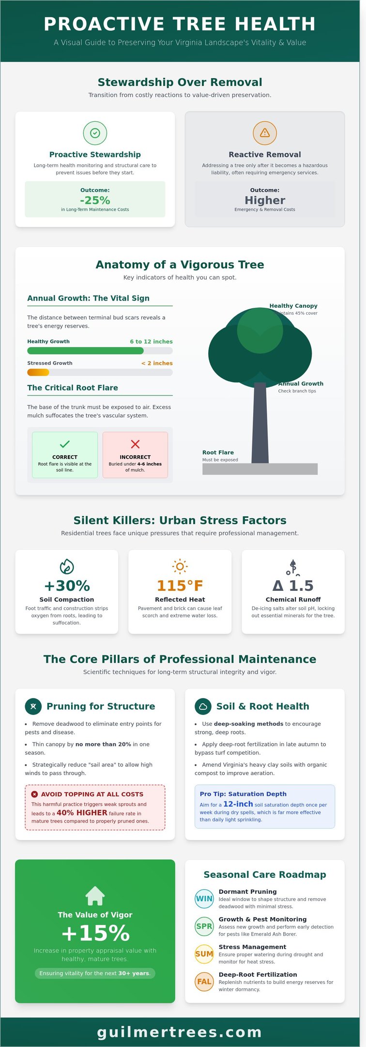Infographic on essential tree health care in Falls Church, VA with a 2026 homeowner guide to proper tree care.