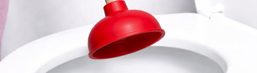 Gambar Alat Untuk Membantu WC Mampet Agar Menjadi Lancar