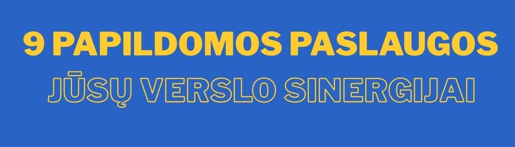 9 papildomos paslaugos Jūsų verslo sinergijai