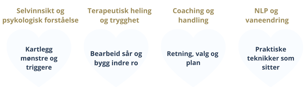 Teracoach virkemidler