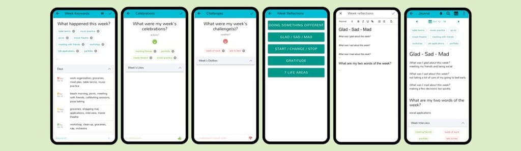 a screenshot of reel frontend code for the journal process in the app