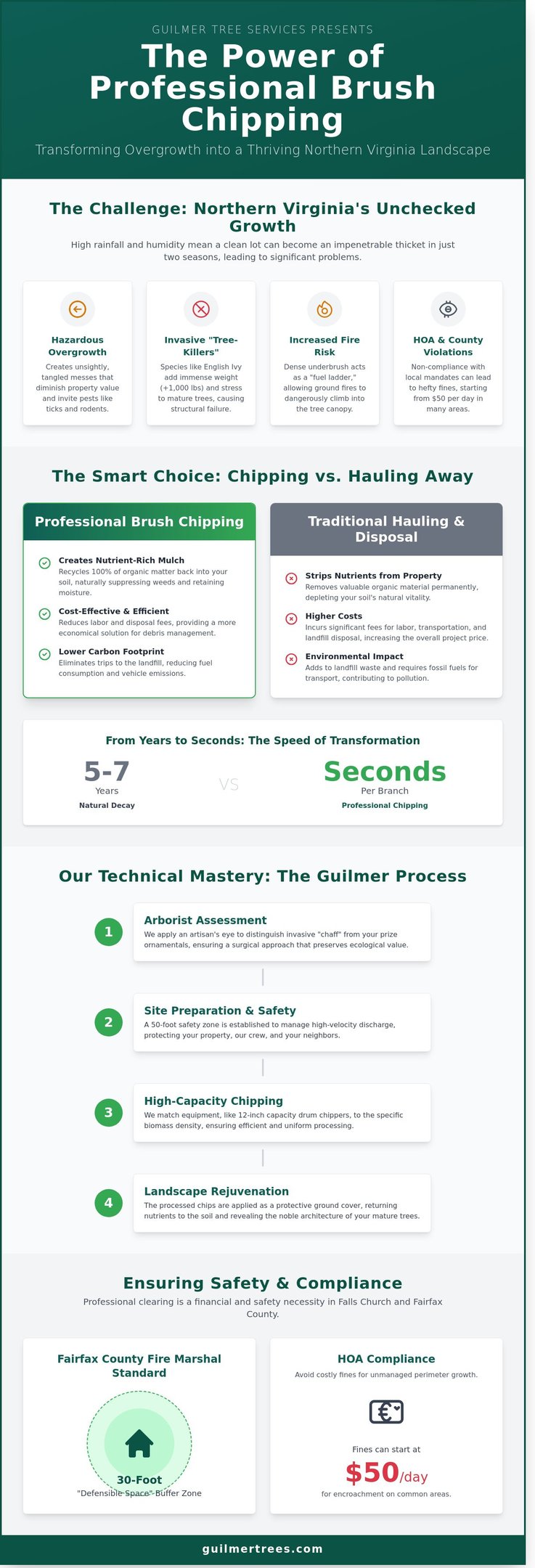 Infographic on professional brush chipping in Falls Church, VA to help homeowners reclaim their landscape’s vitality.