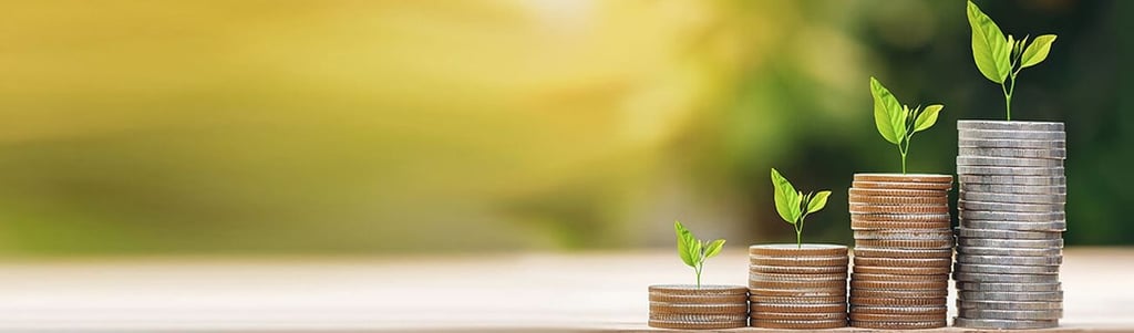 How to increase investments