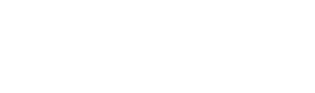Schuler Consulting