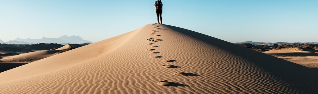 La Gratitude en Vadrouille