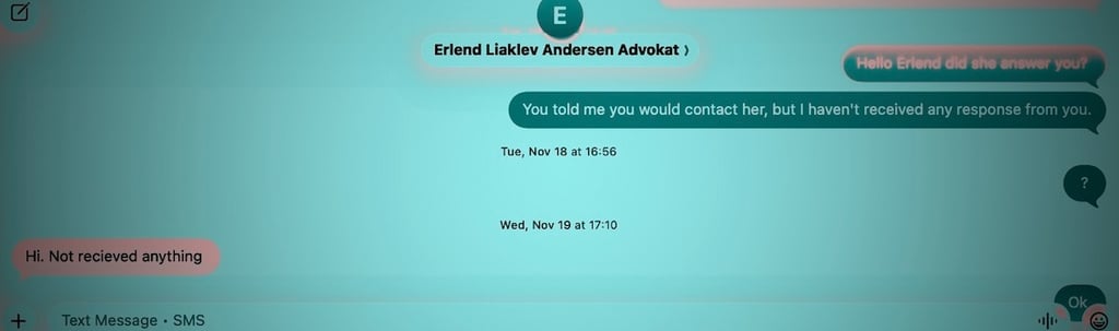 Erlend Liaklev, Elizabeth Grøndal, Diakonhjemmet sykehus, Kontrollkommisjon