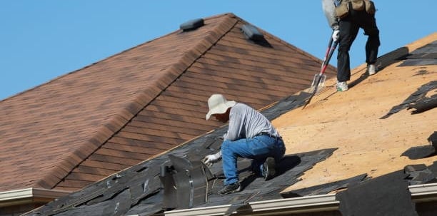 hampton roads roof repair and replacement guide