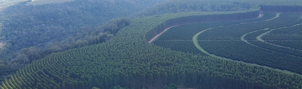 Compensação Ambiental