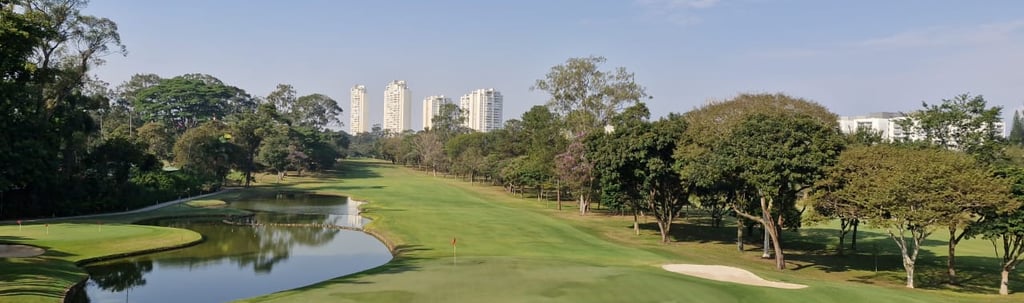 Compensação Ambiental
