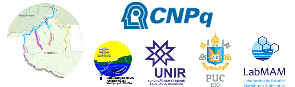 logoa cnpq, unir, puc, labmam