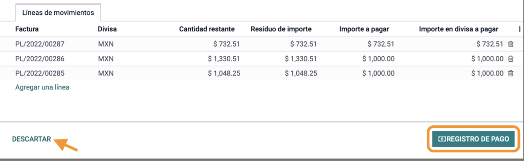 registro de pago
