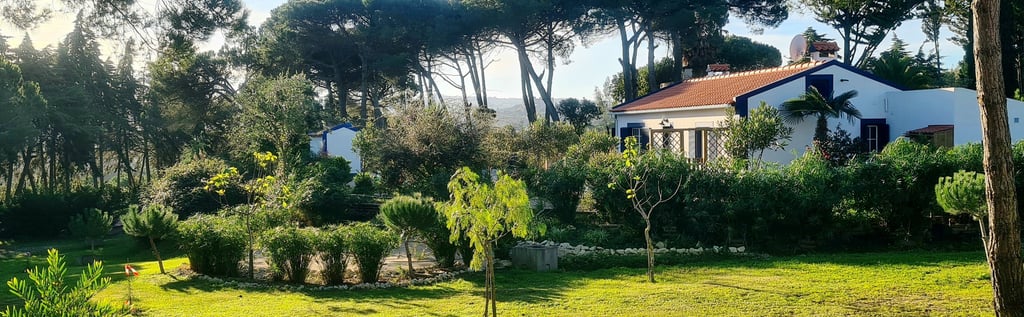 quinta da Avarela Bernard Delétrée Portugal