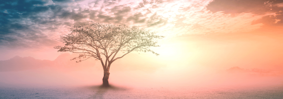 Deep-rooted Ancestral Wounds