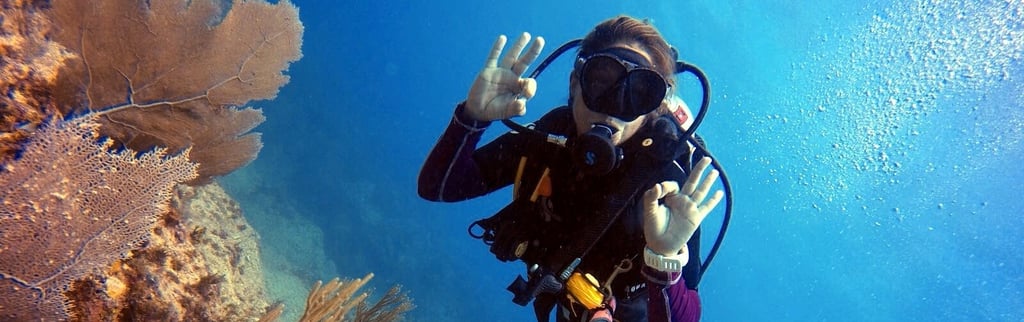 Curso scuba diver