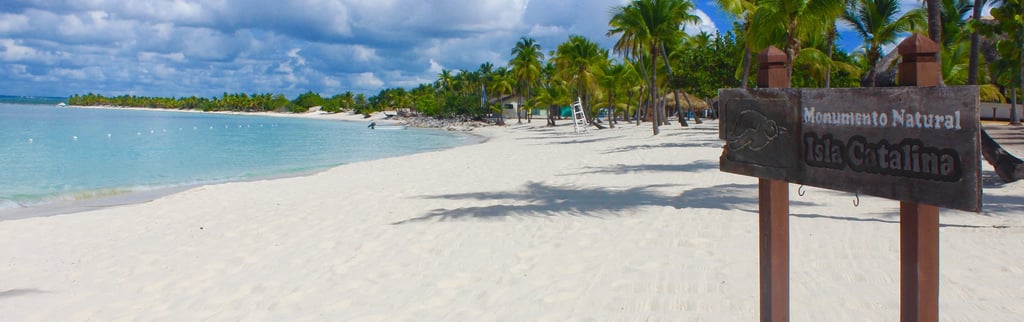 Excursion en Isla Catalina