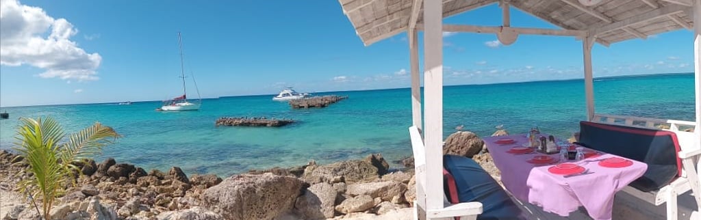 Charter privado isla Saona