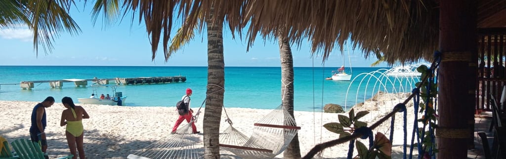 Excursion en Isla Saona