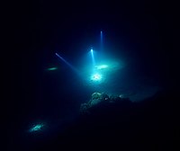 buceo nocturno en Bayahibe