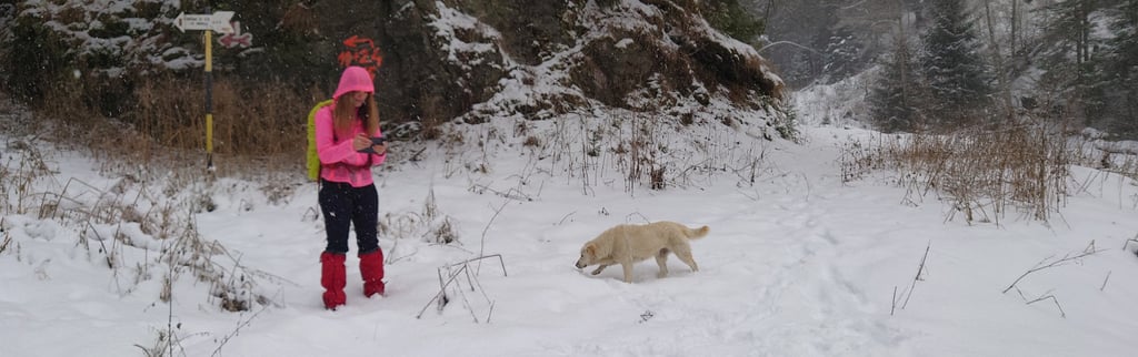 fereastra cu povesti