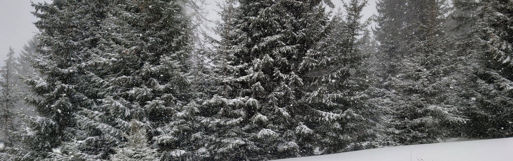 refugiul gainatul muntii iezer-papusa