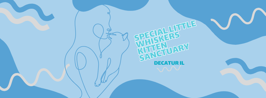 A woman in a banner for Special Little Whiskers Kitten Sanctuary