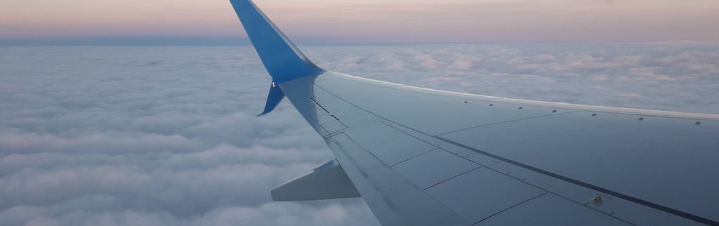Ala de un avión en vuelo