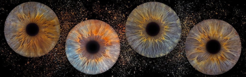 photos iris bordeaux