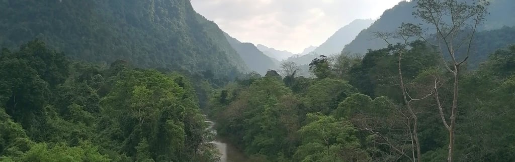 Phong Nha