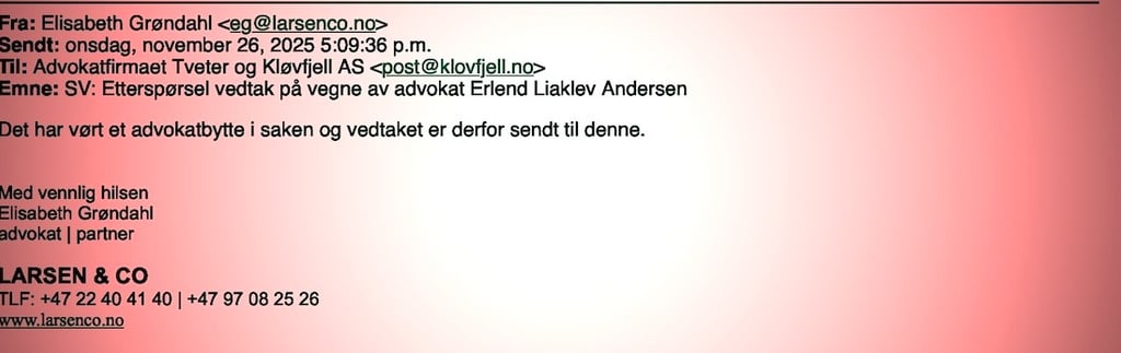 Erlend Liaklev Andersen,Elizabeth Grøndal,Diakonhjemmet sykehus,Kontrollkommisjon