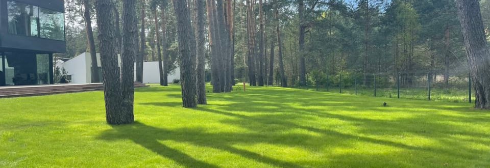 profesionalus vejos įrengimas su paruoštu gruntu