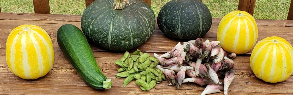 Photo of an assortment of vegetables on a wooden bench