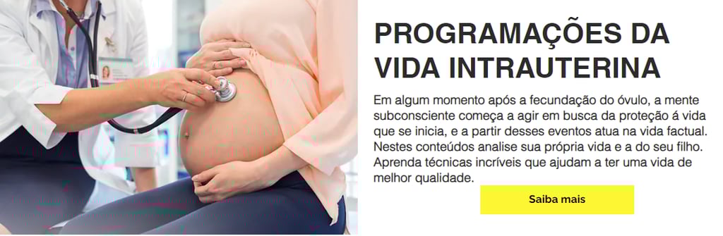 imagem "programações da vida intrauterina"