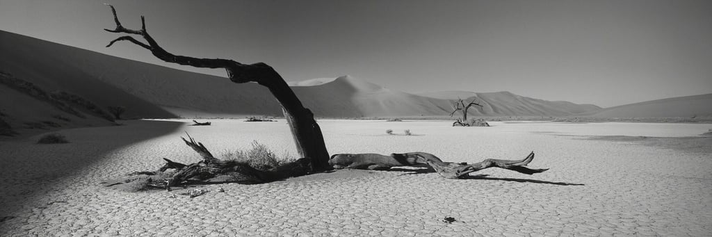 Black-and-white panoramic photograph of Namibia’s Deadvlei, with skeletal camelthorn trees and towering desert dunes