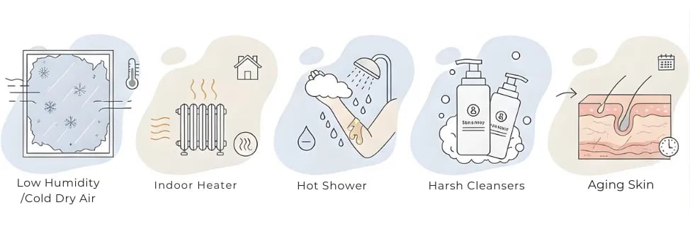 Skin become dry in winter