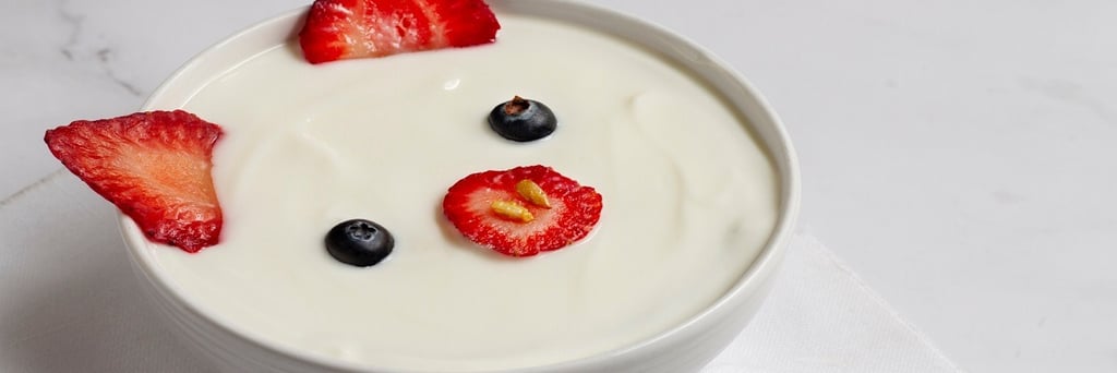 Yogurt with Strawberry