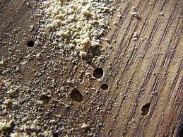 a piece of wood with holes in the middle of it